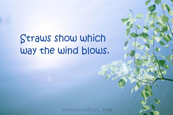 Good sentence's beautiful picture_Straws show which way the wind blows.