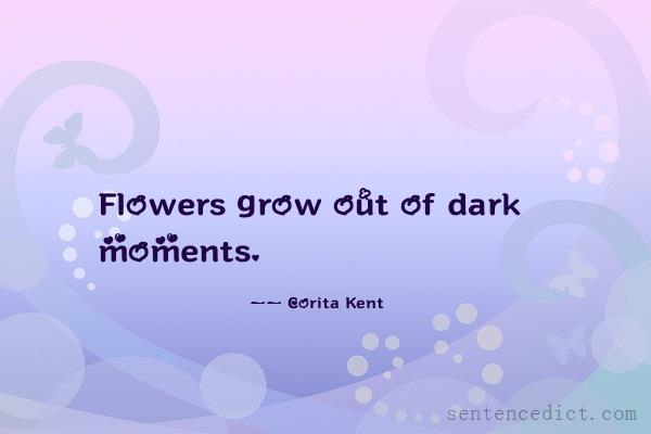 Good sentence's beautiful picture_Flowers grow out of dark moments.