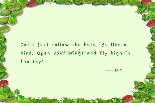 Good sentence's beautiful picture_Don't just follow the herd. Be like a bird. Open your wings and fly high in the sky!