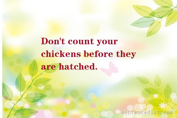 Good sentence's beautiful picture_Don't count your chickens before they are hatched.