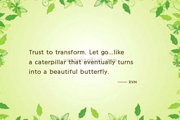 Good sentence's beautiful picture_Trust to transform. Let go...like a caterpillar that eventually turns into a beautiful butterfly.