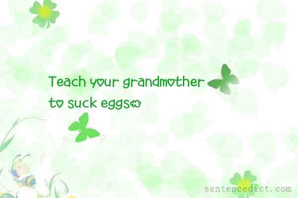 Good sentence's beautiful picture_Teach your grandmother to suck eggs.