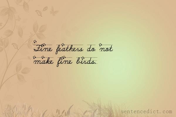 Good sentence's beautiful picture_Fine feathers do not make fine birds.