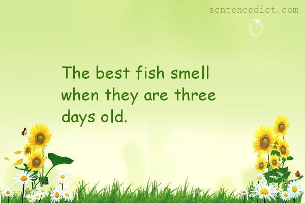 Good sentence's beautiful picture_The best fish smell when they are three days old.