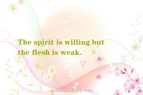 Good sentence's beautiful picture_The spirit is willing but the flesh is weak.