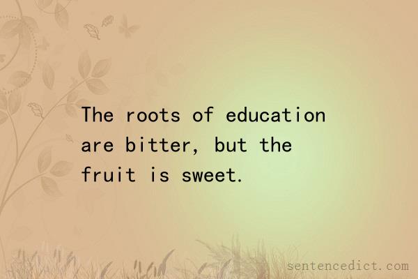 Good sentence's beautiful picture_The roots of education are bitter, but the fruit is sweet.