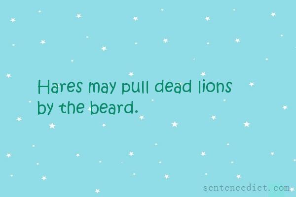 Good sentence's beautiful picture_Hares may pull dead lions by the beard.