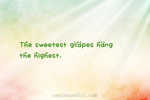 Good sentence's beautiful picture_The sweetest grapes hang the highest.