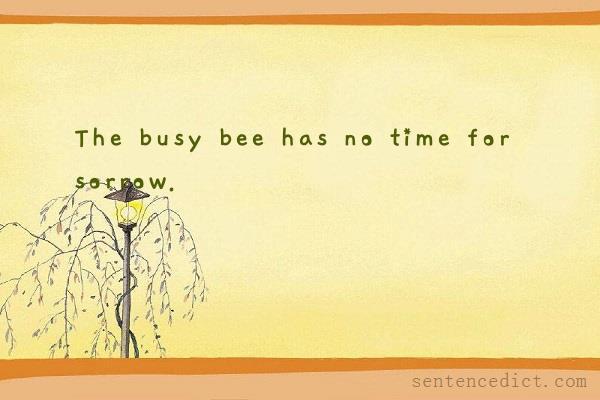 Good sentence's beautiful picture_The busy bee has no time for sorrow.