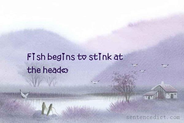 Good sentence's beautiful picture_Fish begins to stink at the head.