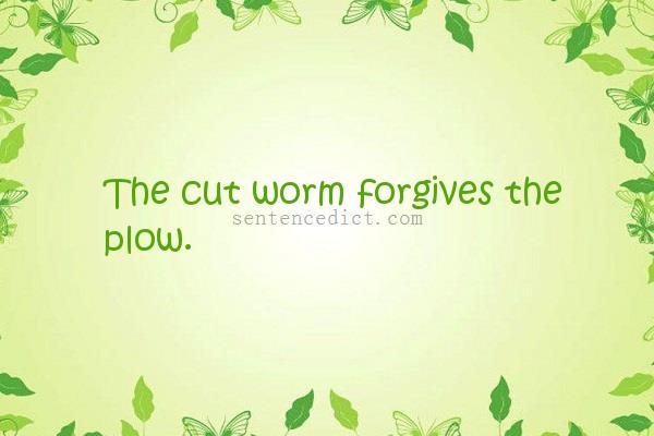 Good sentence's beautiful picture_The cut worm forgives the plow.