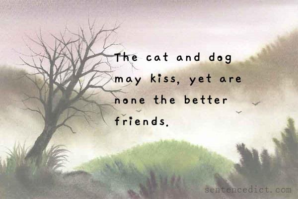 Good sentence's beautiful picture_The cat and dog may kiss, yet are none the better friends.