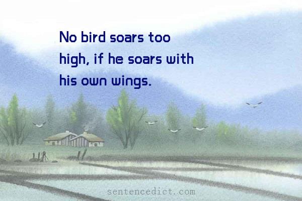 Good sentence's beautiful picture_No bird soars too high, if he soars with his own wings.