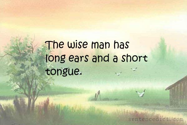 Good sentence's beautiful picture_The wise man has long ears and a short tongue.