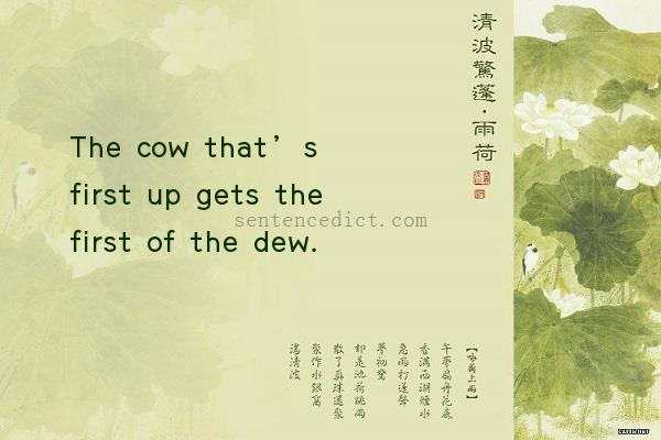 Good sentence's beautiful picture_The cow that’s first up gets the first of the dew.