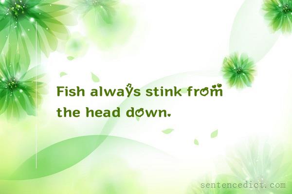 Good sentence's beautiful picture_Fish always stink from the head down.