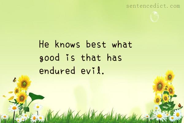 Good sentence's beautiful picture_He knows best what good is that has endured evil.
