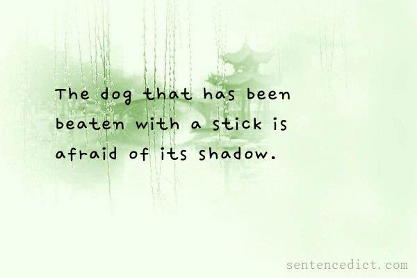Good sentence's beautiful picture_The dog that has been beaten with a stick is afraid of its shadow.