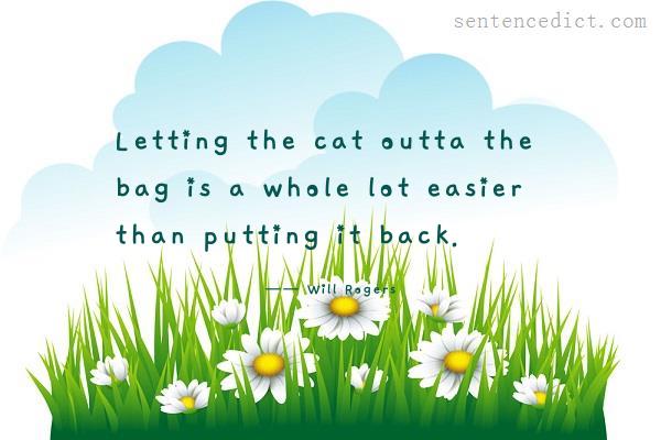 Good sentence's beautiful picture_Letting the cat outta the bag is a whole lot easier than putting it back.