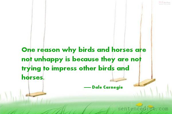 Good sentence's beautiful picture_One reason why birds and horses are not unhappy is because they are not trying to impress other birds and horses.