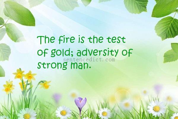 Good sentence's beautiful picture_The fire is the test of gold; adversity of strong man.