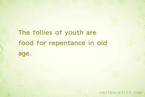 Good sentence's beautiful picture_The follies of youth are food for repentance in old age.