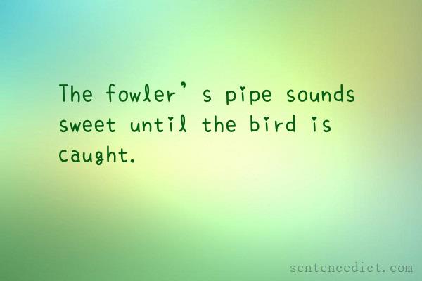 Good sentence's beautiful picture_The fowler’s pipe sounds sweet until the bird is caught.