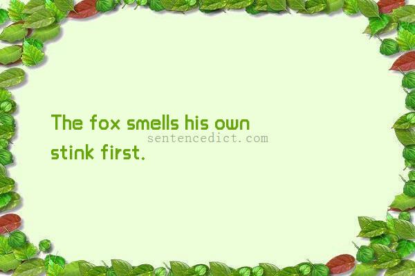 Good sentence's beautiful picture_The fox smells his own stink first.
