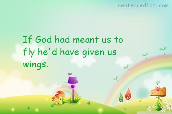Good sentence's beautiful picture_If God had meant us to fly he'd have given us wings.