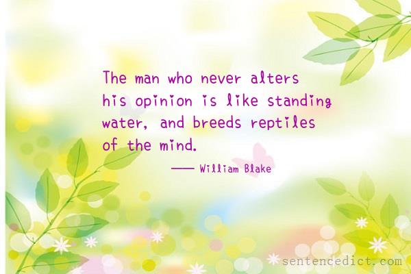 Good sentence's beautiful picture_The man who never alters his opinion is like standing water, and breeds reptiles of the mind.