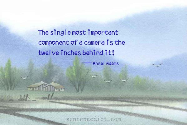 Good sentence's beautiful picture_The single most important component of a camera is the twelve inches behind it!