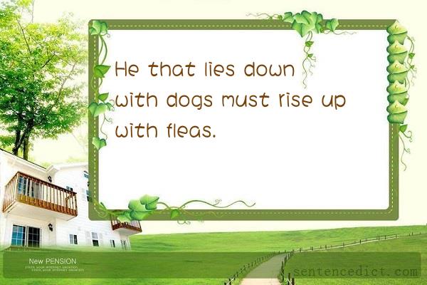 Good sentence's beautiful picture_He that lies down with dogs must rise up with fleas.