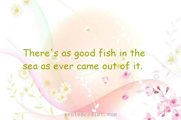 Good sentence's beautiful picture_There's as good fish in the sea as ever came out of it.