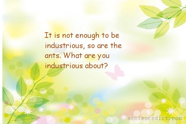 Good sentence's beautiful picture_It is not enough to be industrious, so are the ants. What are you industrious about?