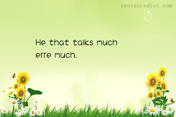 Good sentence's beautiful picture_He that talks much erre much.