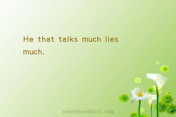 Good sentence's beautiful picture_He that talks much lies much.