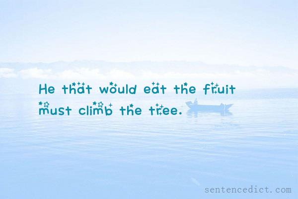 Good sentence's beautiful picture_He that would eat the fruit must climb the tree.