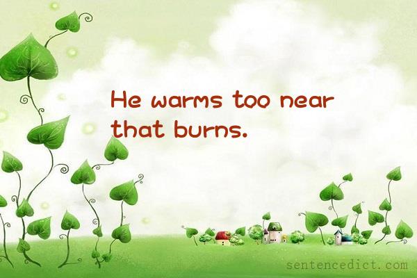 Good sentence's beautiful picture_He warms too near that burns.