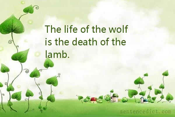 Good sentence's beautiful picture_The life of the wolf is the death of the lamb.