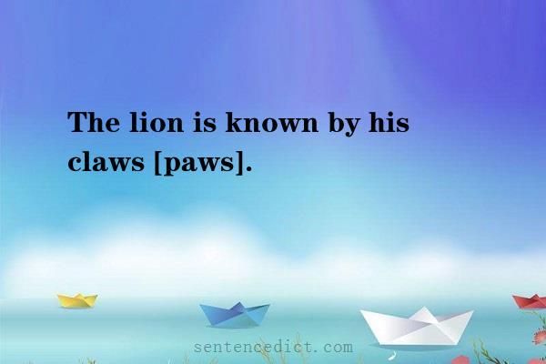 Good sentence's beautiful picture_The lion is known by his claws [paws].