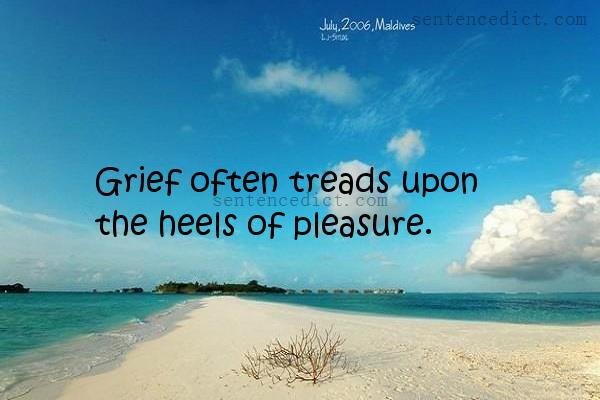 Good sentence's beautiful picture_Grief often treads upon the heels of pleasure.