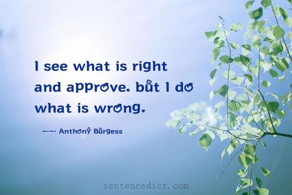 Good sentence's beautiful picture_I see what is right and approve, but I do what is wrong.
