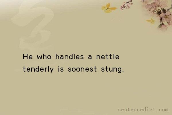 Good sentence's beautiful picture_He who handles a nettle tenderly is soonest stung.