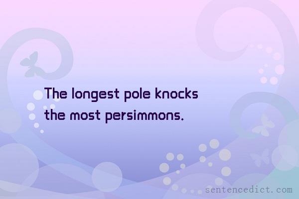 Good sentence's beautiful picture_The longest pole knocks the most persimmons.