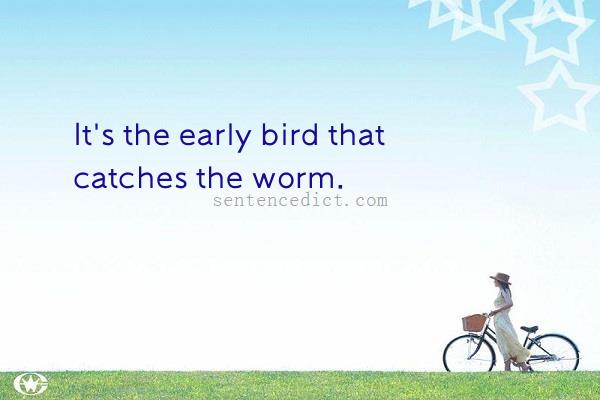 Good sentence's beautiful picture_It's the early bird that catches the worm.