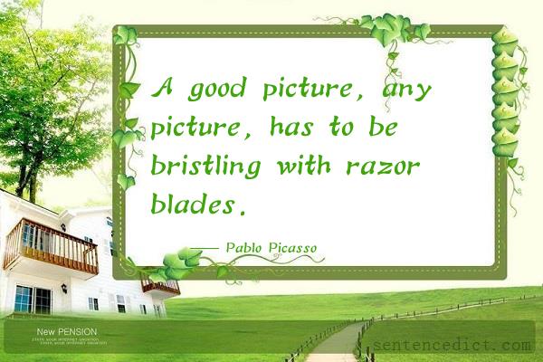 Good sentence's beautiful picture_A good picture, any picture, has to be bristling with razor blades.