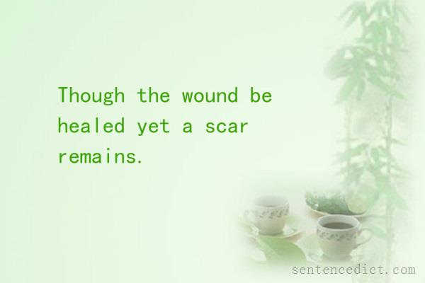 Good sentence's beautiful picture_Though the wound be healed yet a scar remains.