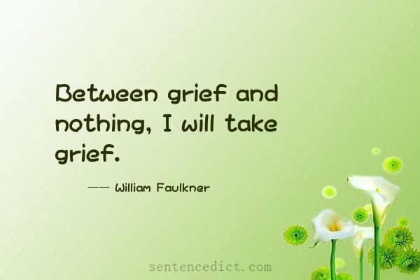 Good sentence's beautiful picture_Between grief and nothing, I will take grief.